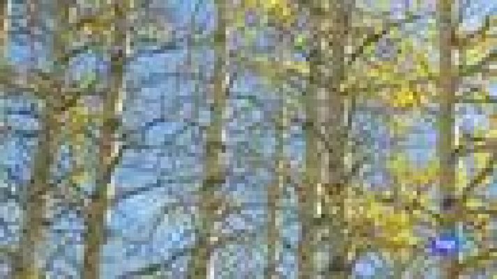 El tiempo - Mañana nieblas persistentes