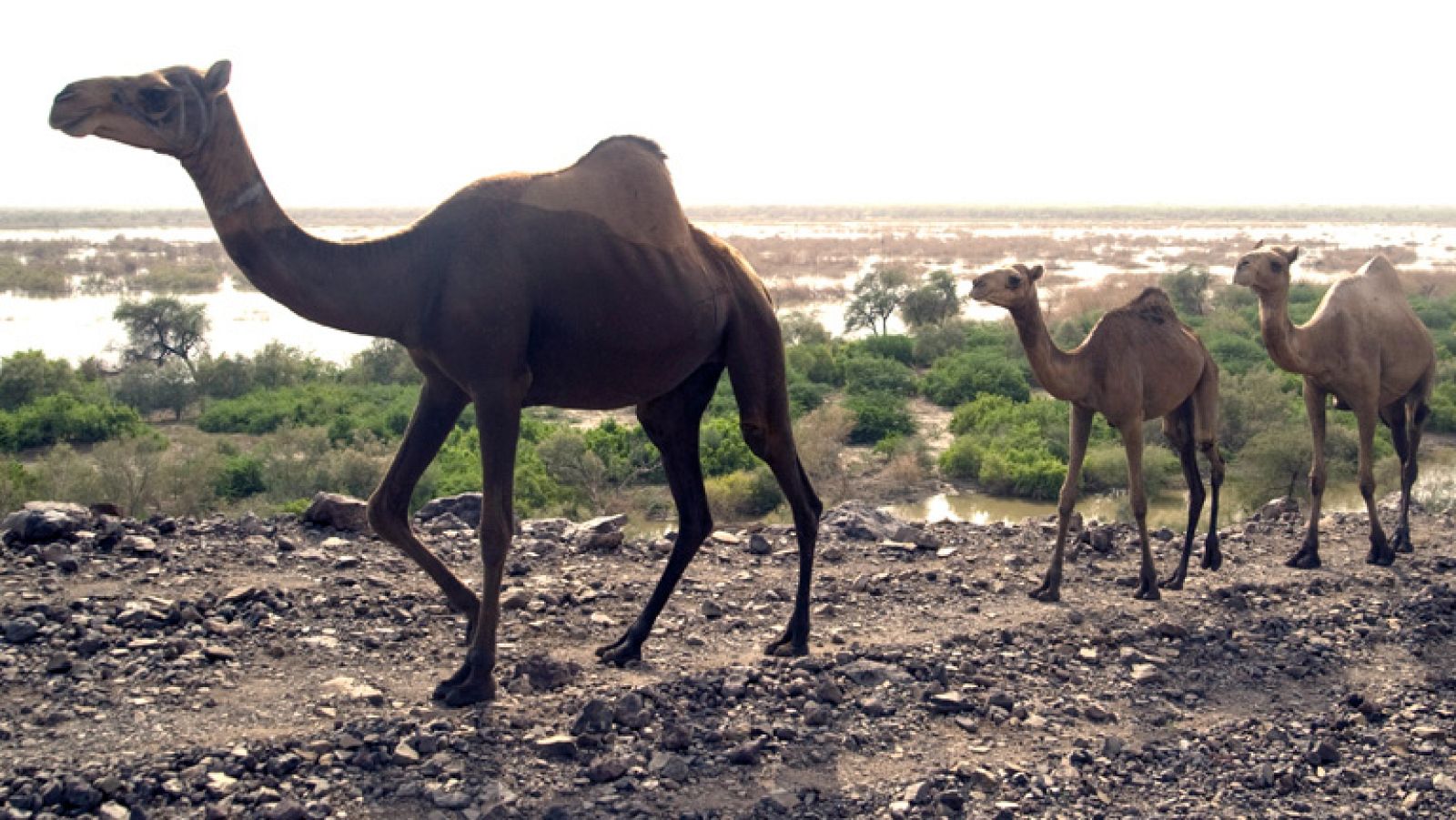 Etiopía, el túnel del tiempo