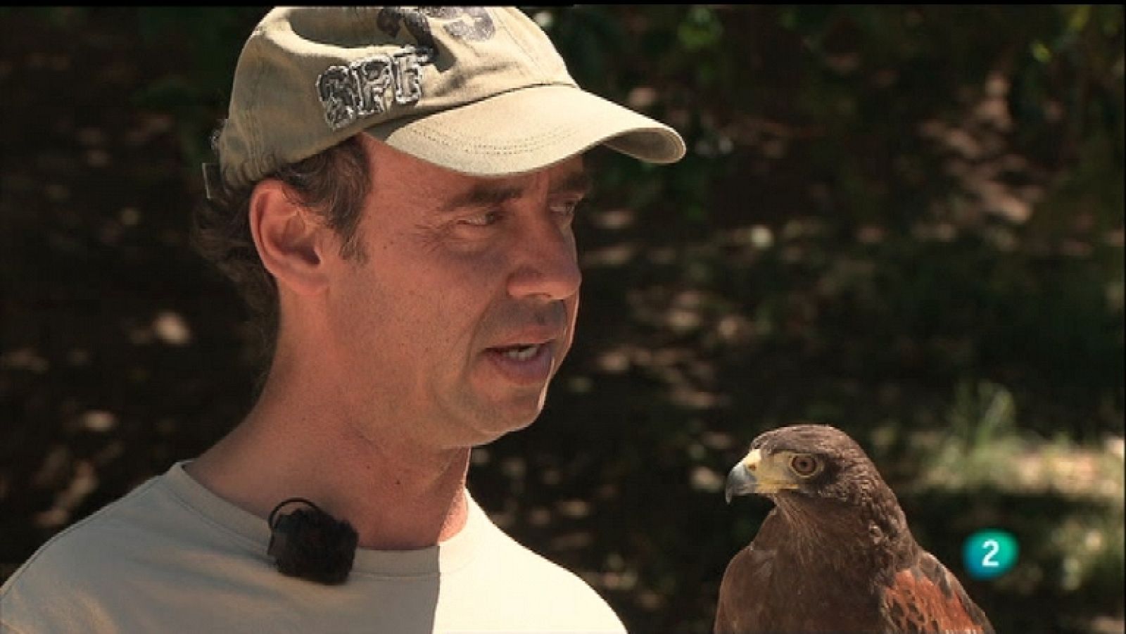 La aventura del saber - 30/11/11 - Ver ahora