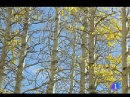 Informativo Telerioja - El tiempo en La Rioja - 30/11/11