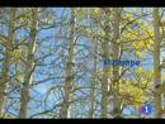 Telecanarias - El tiempo en Canarias - 30/11/11