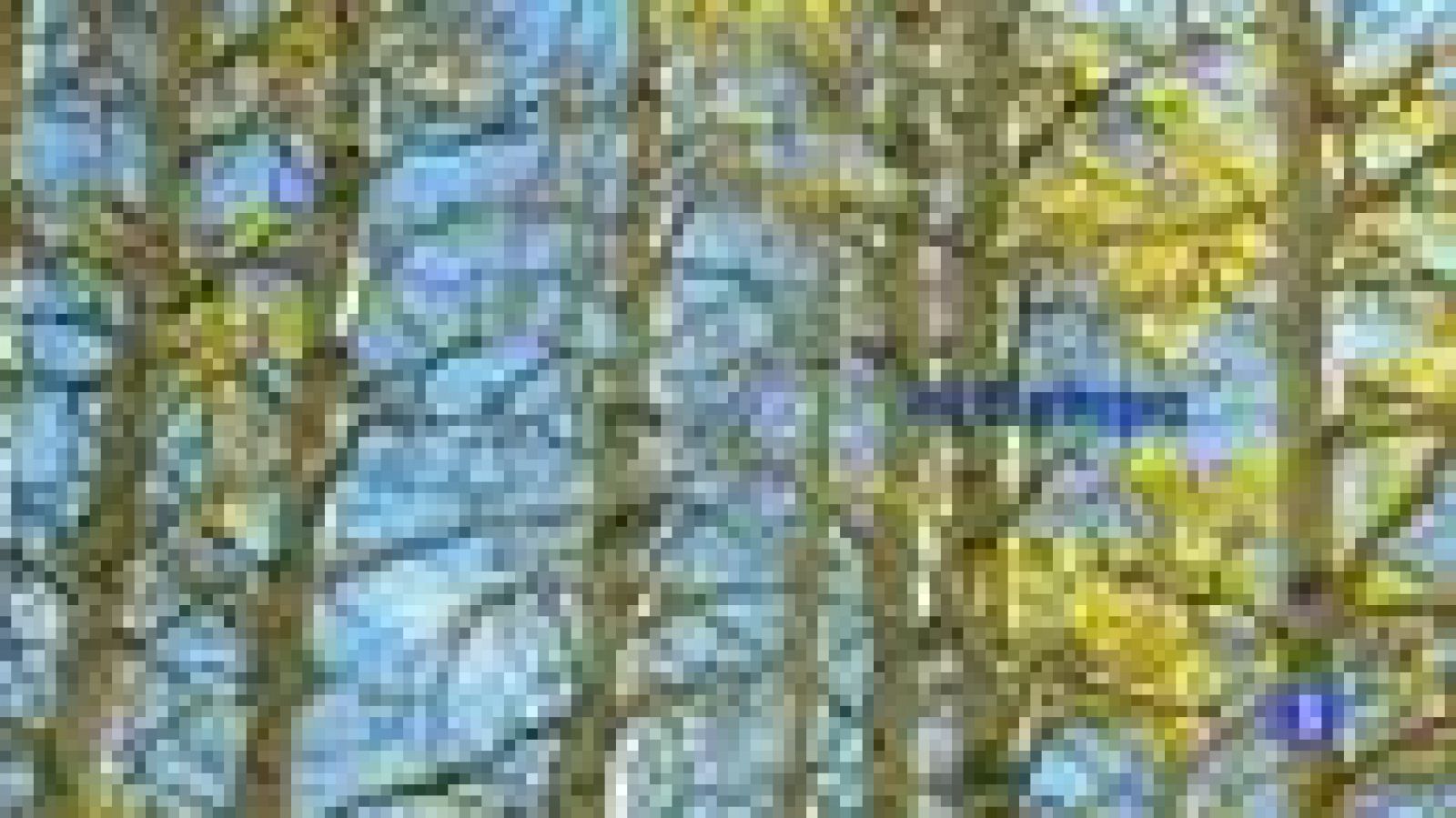 El tiempo en Canarias - 01/12/11 | Ver