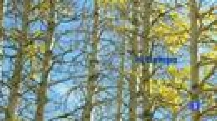 Telecanarias - El tiempo en Canarias - 01/12/11