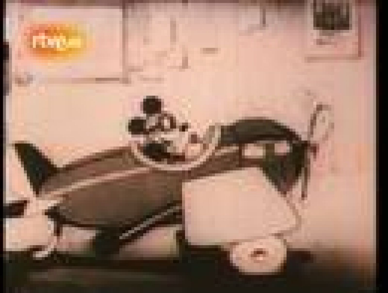  Informe Semanal - 80 años de Walt Disney (1981)