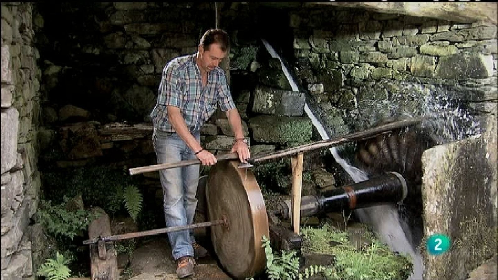 Biodiario - 02/12/11 - Ver ahora