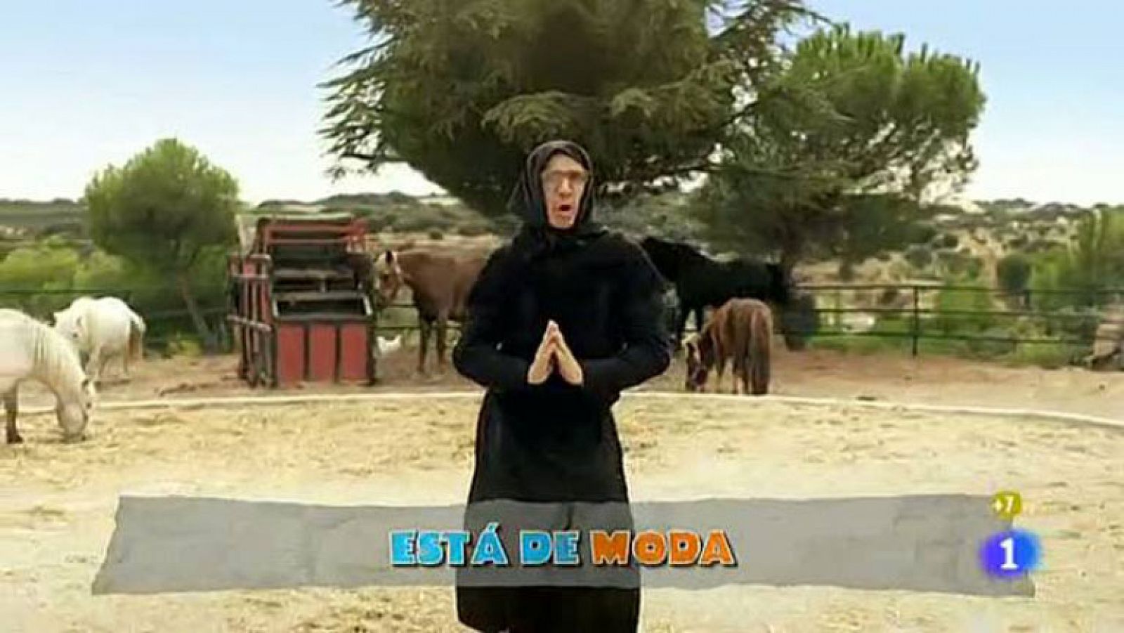 La hora de José Mota - Blashakira: "Esto es rústico" - La hora de José Mota | Ver