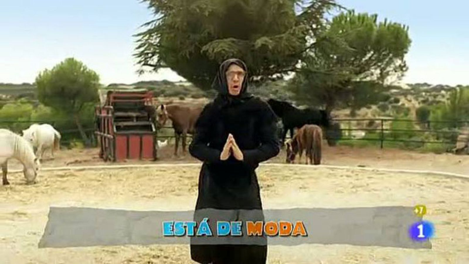 La Blasa adapta la famosa canción del waka waka y ridiculiza la imagen idealizada del campo como un lugar de descanso y tranquilidad.