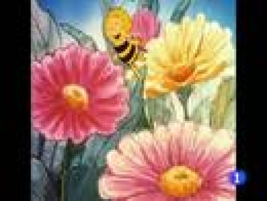 Telediario 1 - El Musical de la abeja Maya