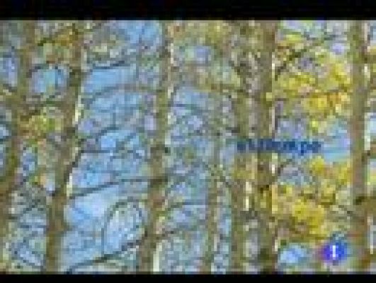 Noticias Murcia - El tiempo en la comunidad de Murcia. (05/12/2011).