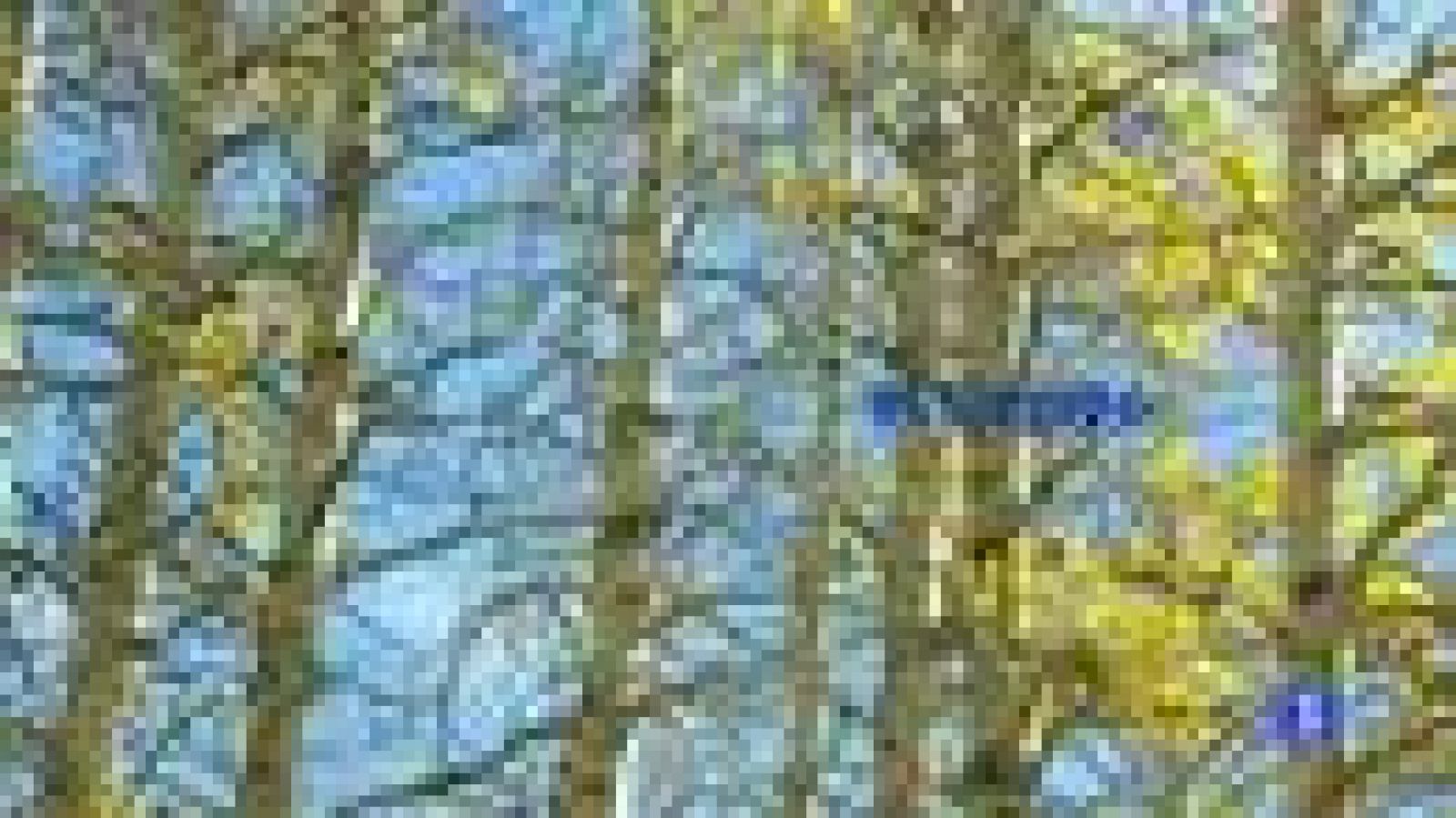 El tiempo en Canarias - 05/12/11 | Ver