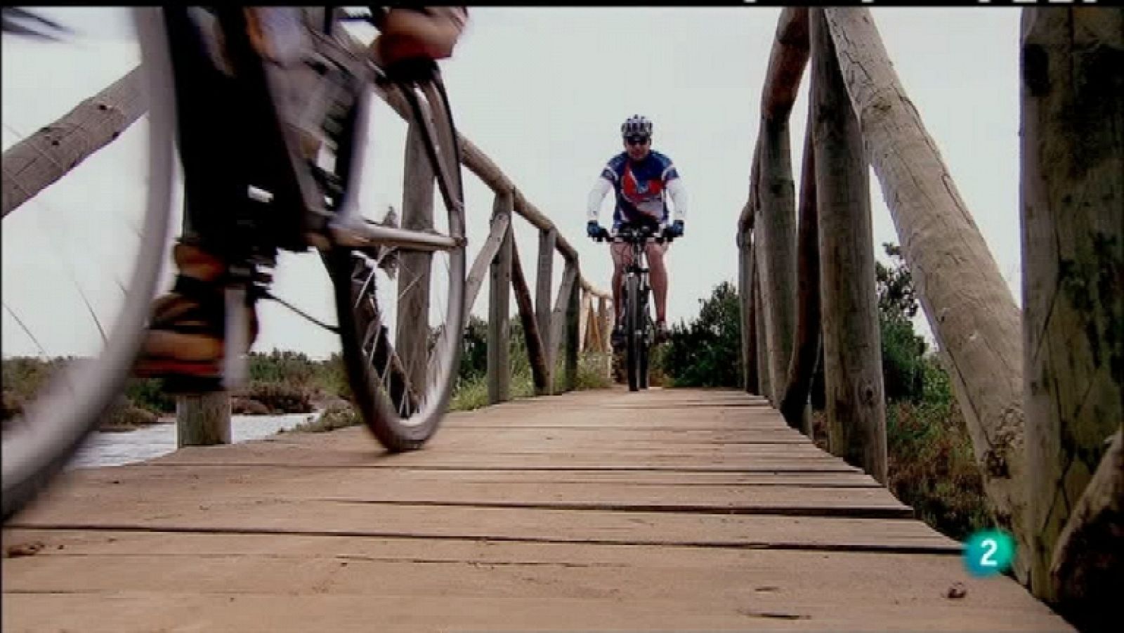 Biodiario - 05/12/11 - Ver ahora