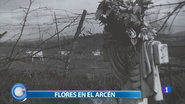 +Gente - Flores en el arcén
