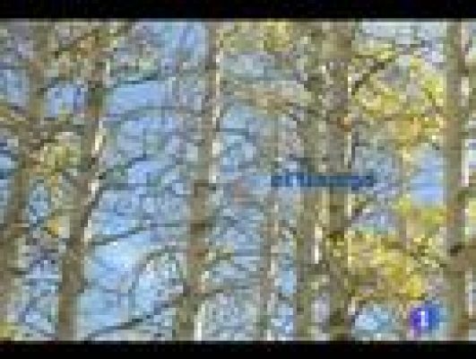 Noticias de Castilla y León - El tiempo en Castilla y León - 07/12/11