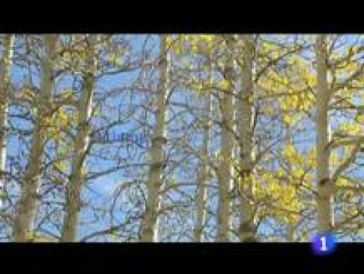 Informativo Telerioja - El tiempo en La Rioja - 07/12/11