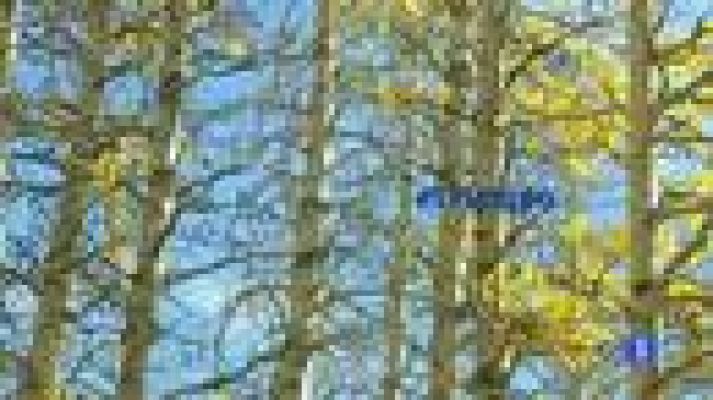 Telecanarias - El tiempo en Canarias - 07/12/11