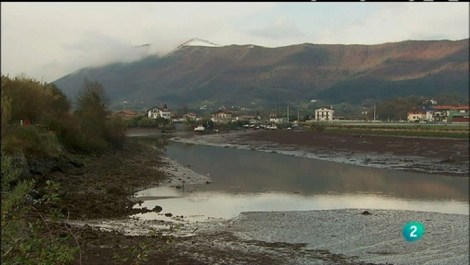 Biodiario - 07/12/11 - Ver ahora