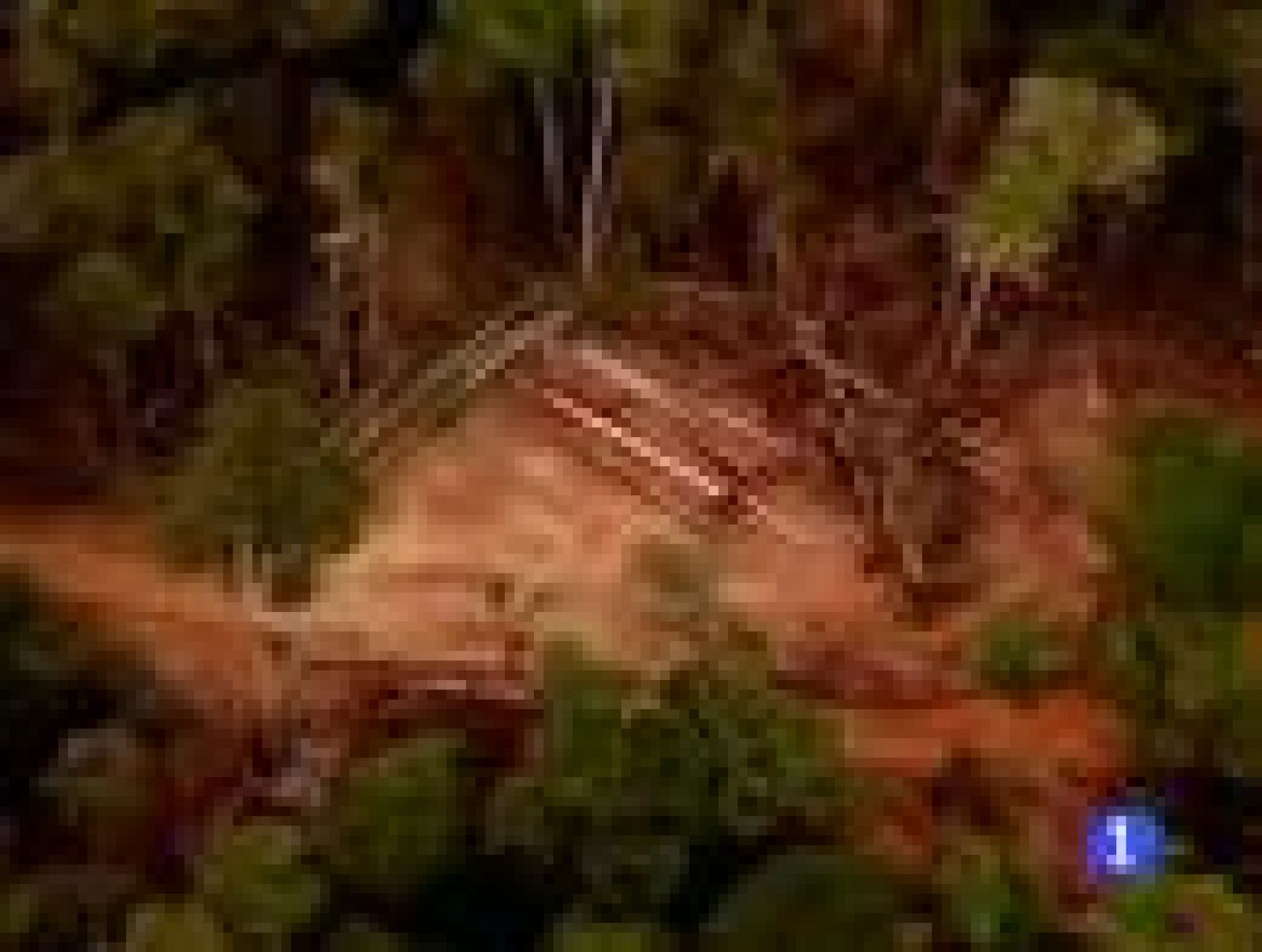 Telediario 1: Ley forestal sobre el Amazonas | RTVE Play