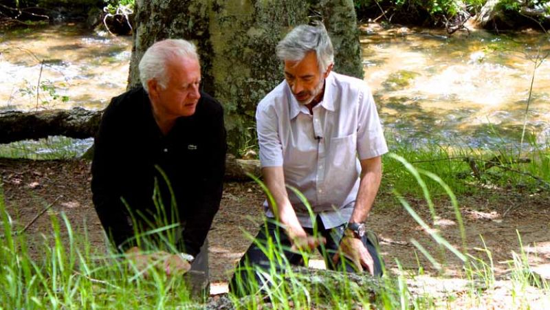 Un país para comérselo - Madrid, mariposas en el estómago - Ver ahora