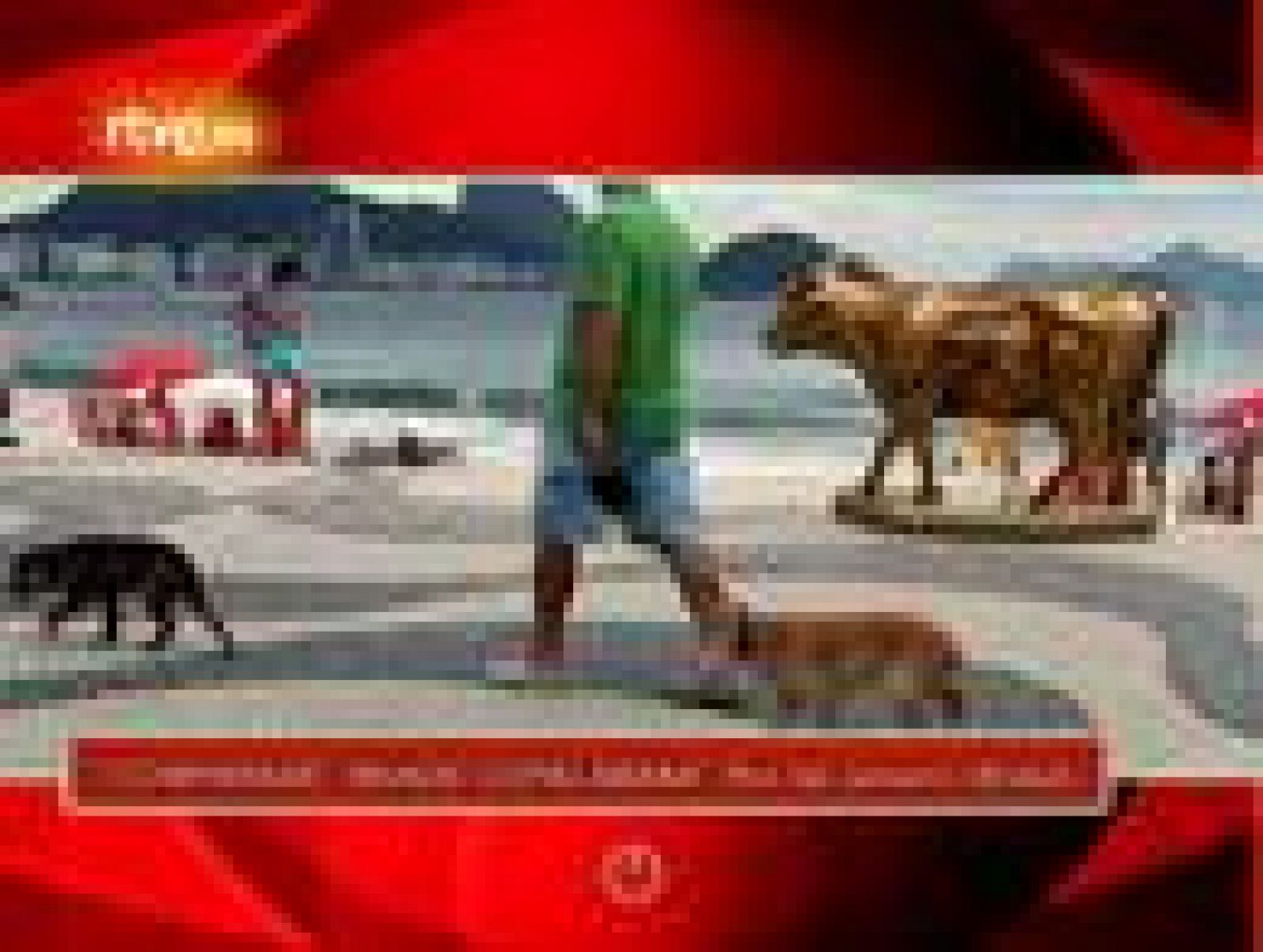 Sin programa: On Off: La Cowparade, en Copacabana | RTVE Play