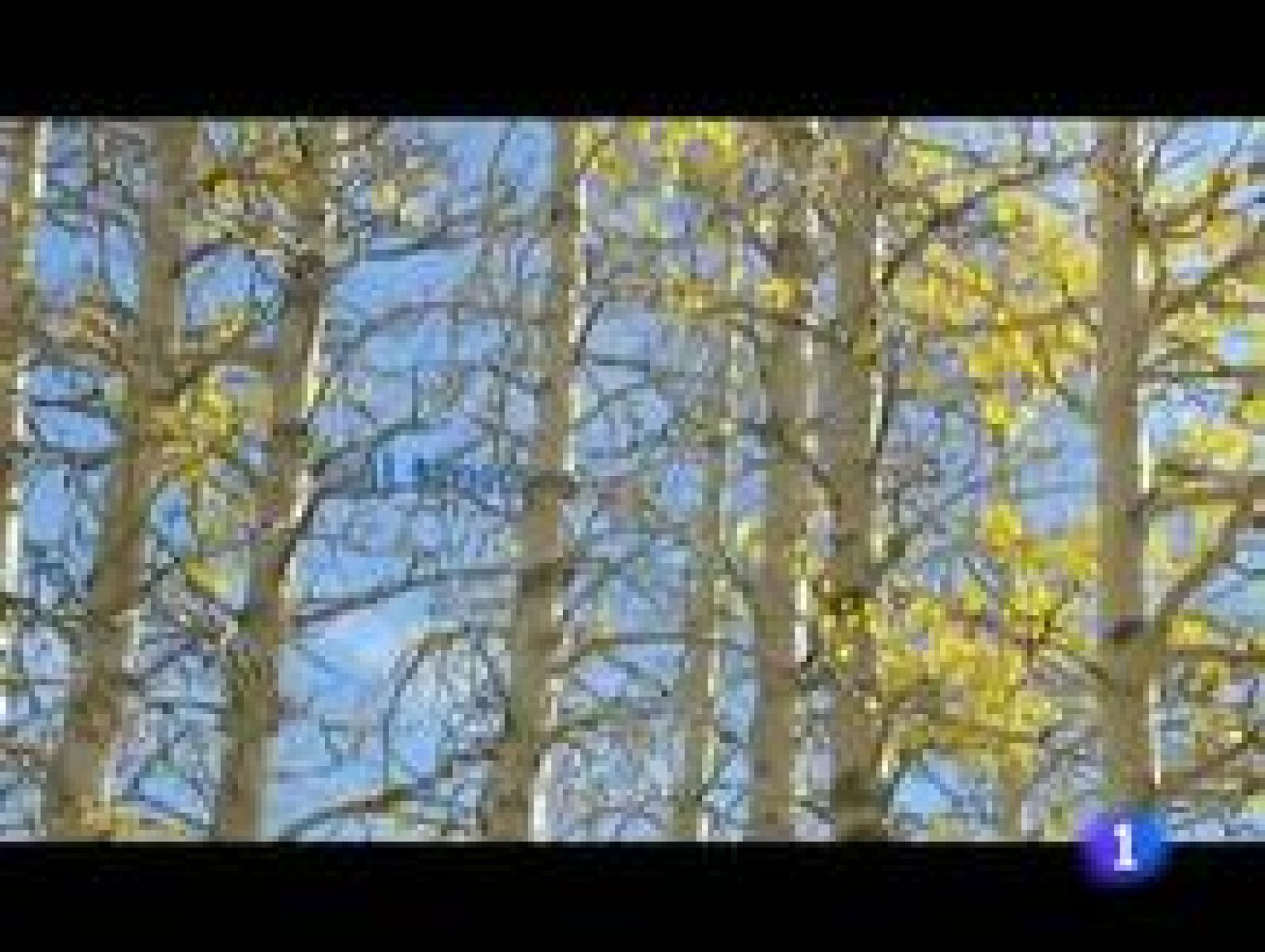 El tiempo en La Rioja - 09/12/11 | Ver