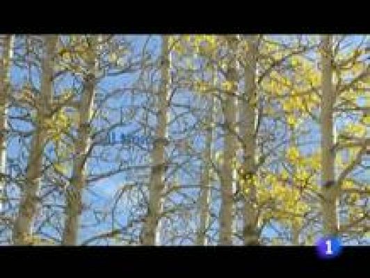 Informativo Telerioja - El tiempo en La Rioja - 09/12/11