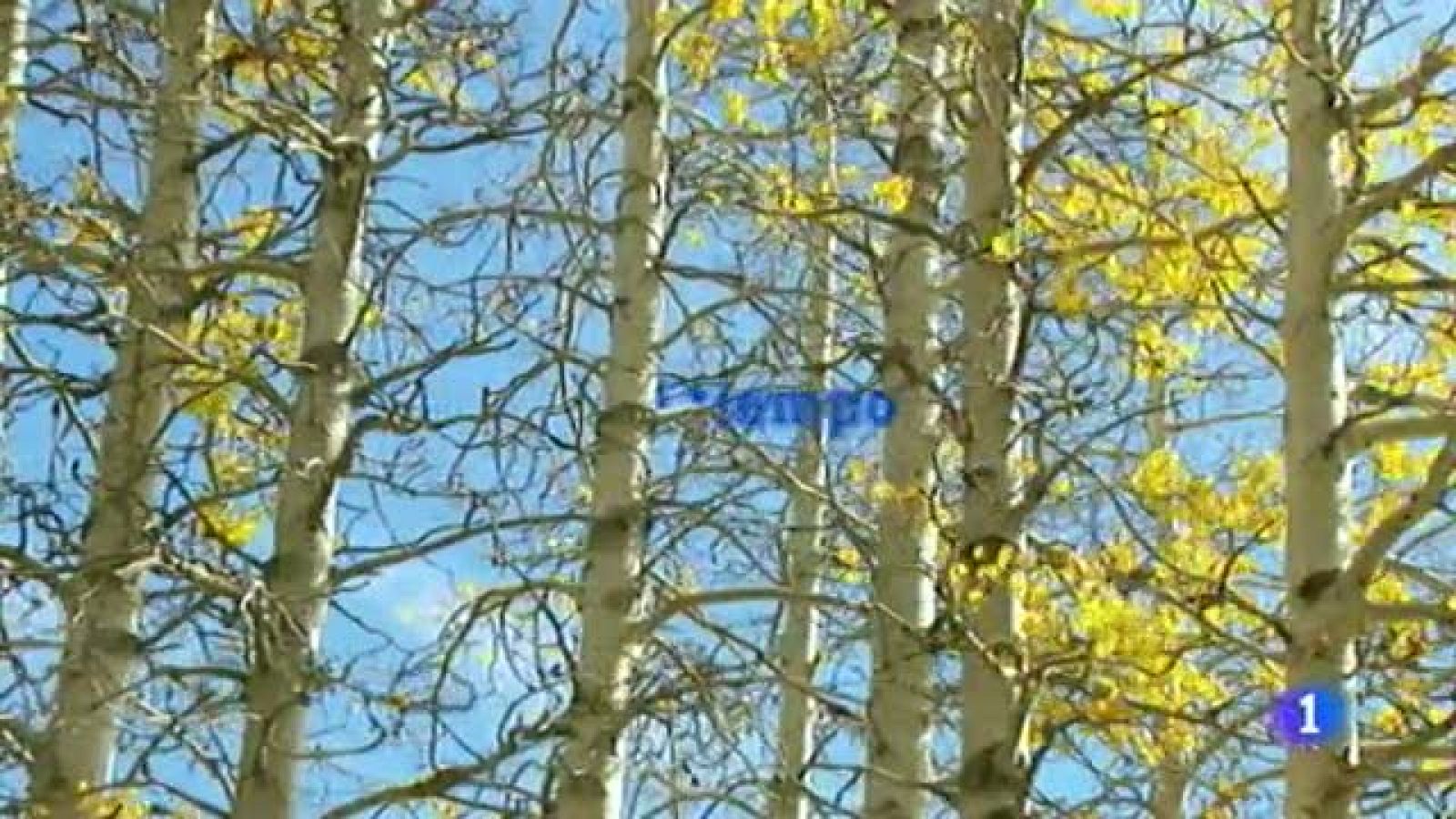 El tiempo en Canarias - 09/12/11