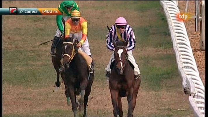 Turf - Turf - Carreras de caballos