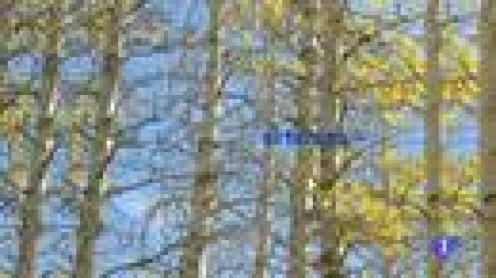 L'Informatiu - El temps - 12/12/11