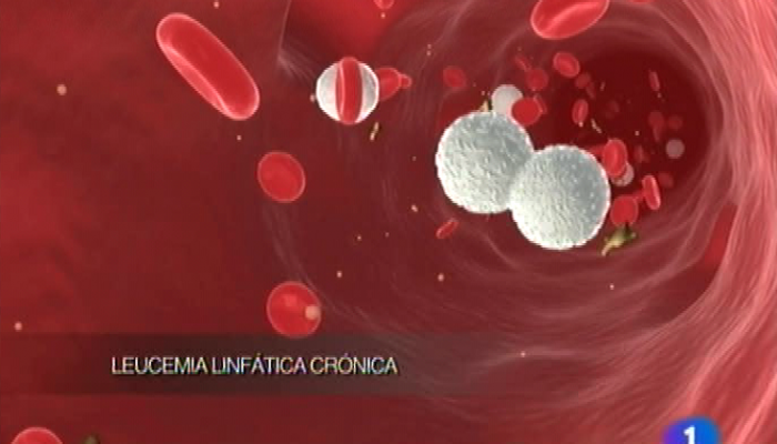 Panorama Regional - Panorama Regional - 12/12/11