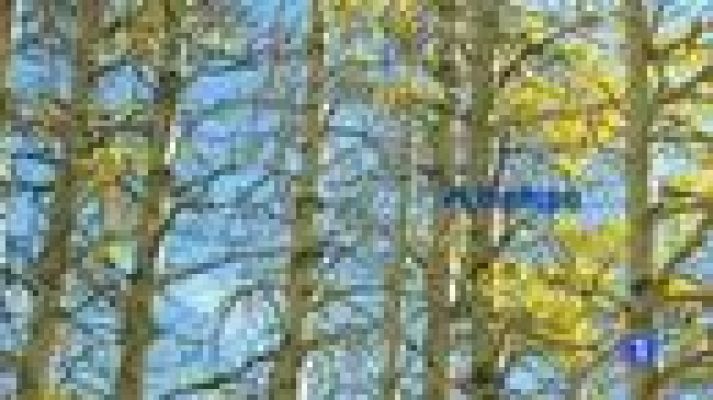 El tiempo en Canarias -12/12/11