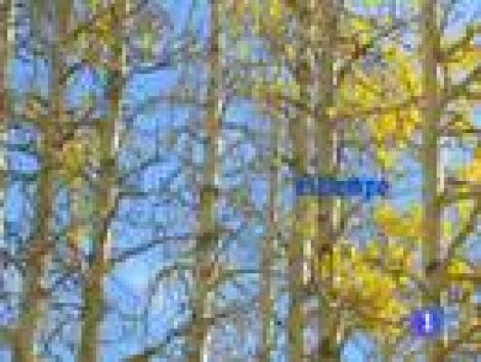 TeleCantabria - El tiempo en Cantabria - 12/12/11