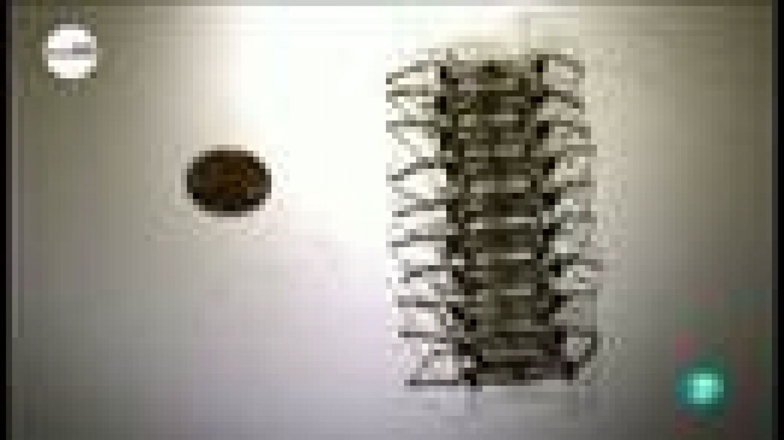 tres14 - Curiosidades científicas - Insectos robóticos espías