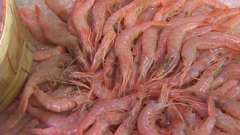 Los españoles dedicarán una media de 560 euros a los gastos extras de Navidad 