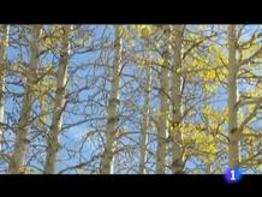 Informativo Telerioja - El tiempo en La Rioja - 13/12/11