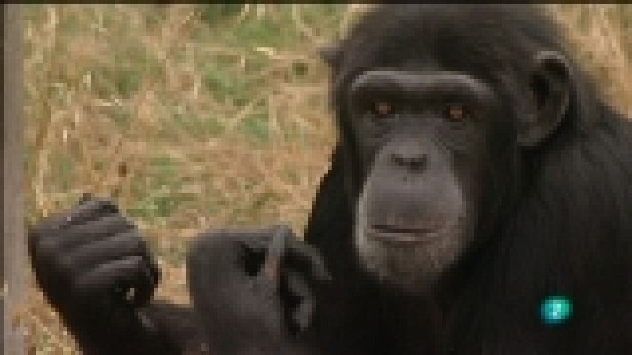 Para todos La 2 - Para todos La 2 - 13/12/11