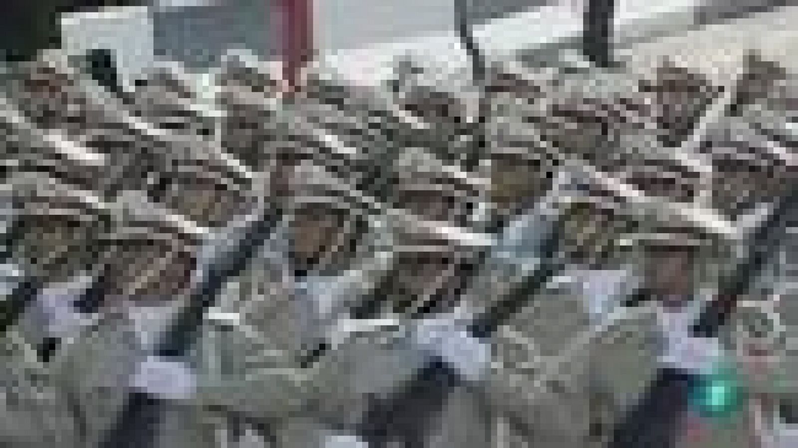 Para todos La 2 - ONG - Instituto Internacional de la Paz