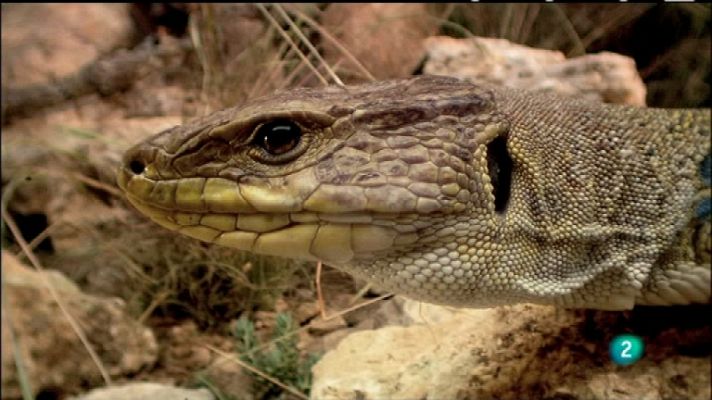 Biodiario - Biodiario - 13/12/11