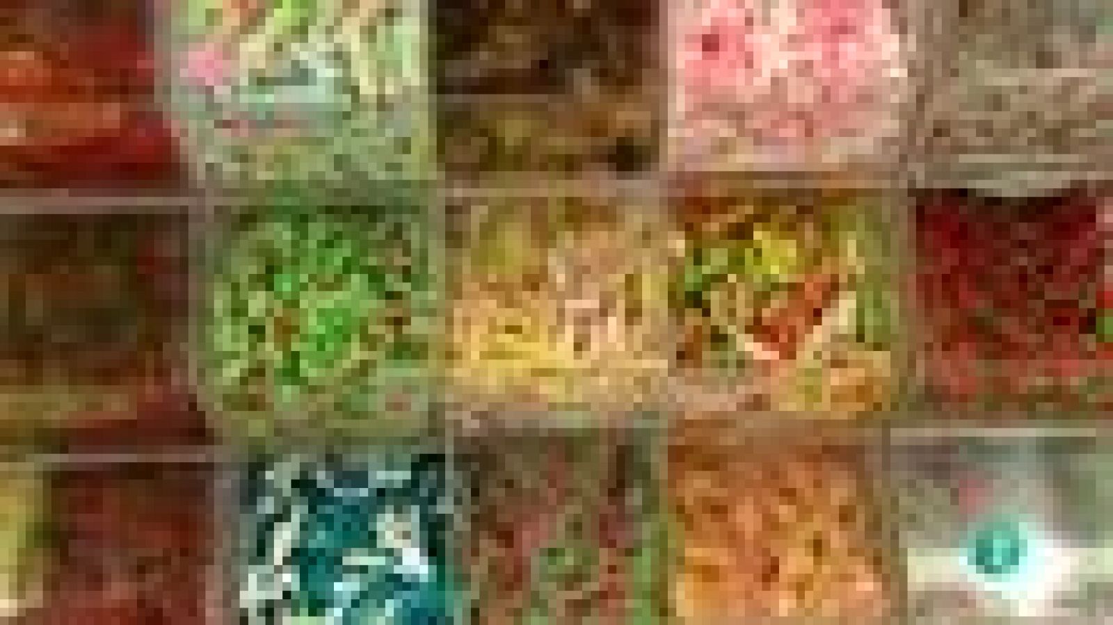 Para todos La 2 - Nutrición - Picar entre horas