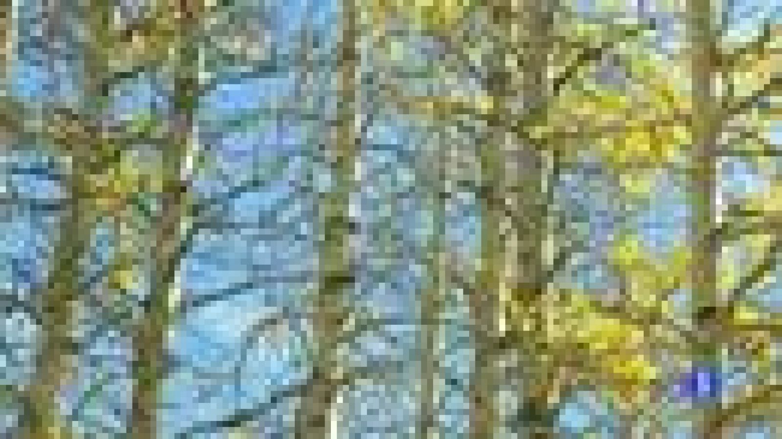 El tiempo en Canarias - 14/12/2011 | Ver