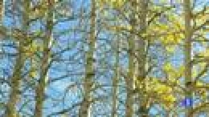 Telecanarias - El tiempo en Canarias - 14/12/2011