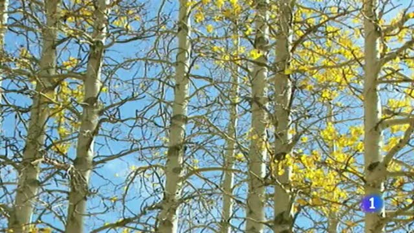 El tiempo en Canarias - 14/12/2011