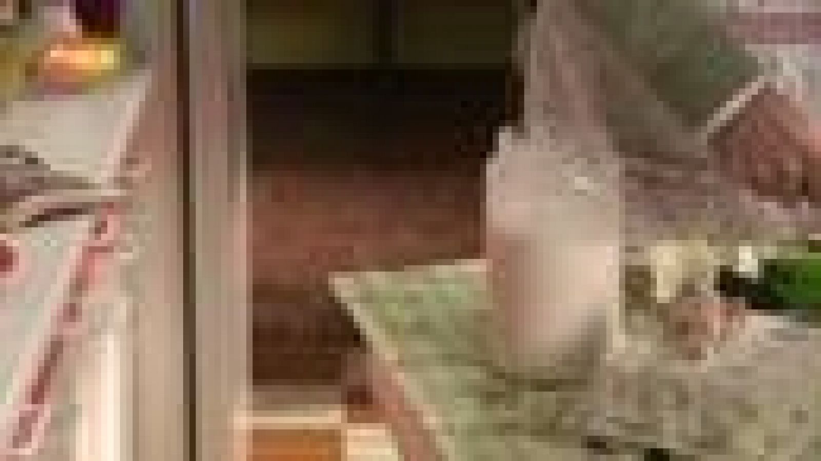 Calamares a lo Antonio Alcántara