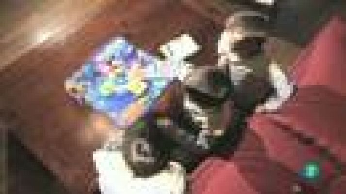 Para todos La 2 - Jugar es saludable - Bernabé Tierno