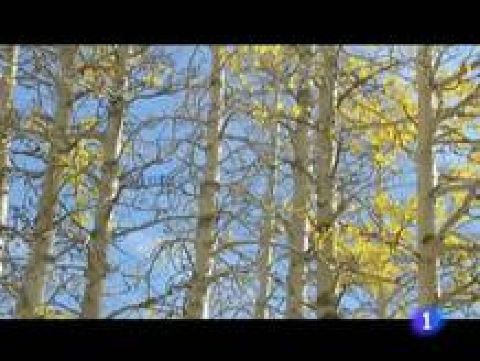 El tiempo en La Rioja - 15/12/11 | Ver