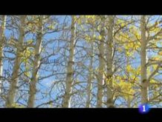 Informativo Telerioja - El tiempo en La Rioja - 15/12/11