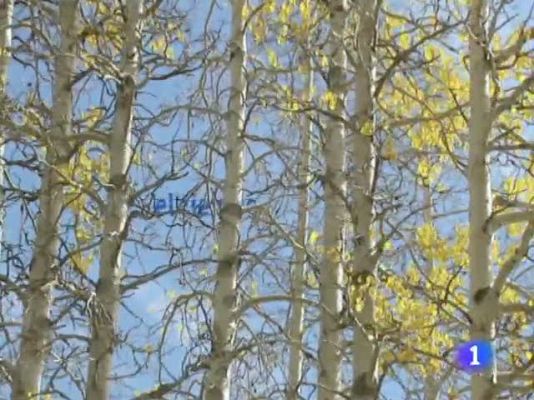 TeleCantabria - El tiempo en Cantabria - 15/12/11