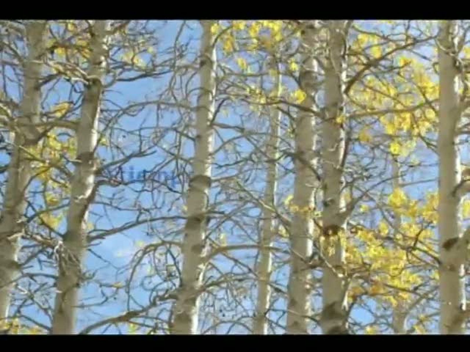 El tiempo en Castilla y León - 15/12/11