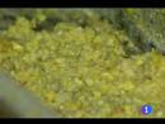 Telediario 1 - Platos para cenar en Nochebuena