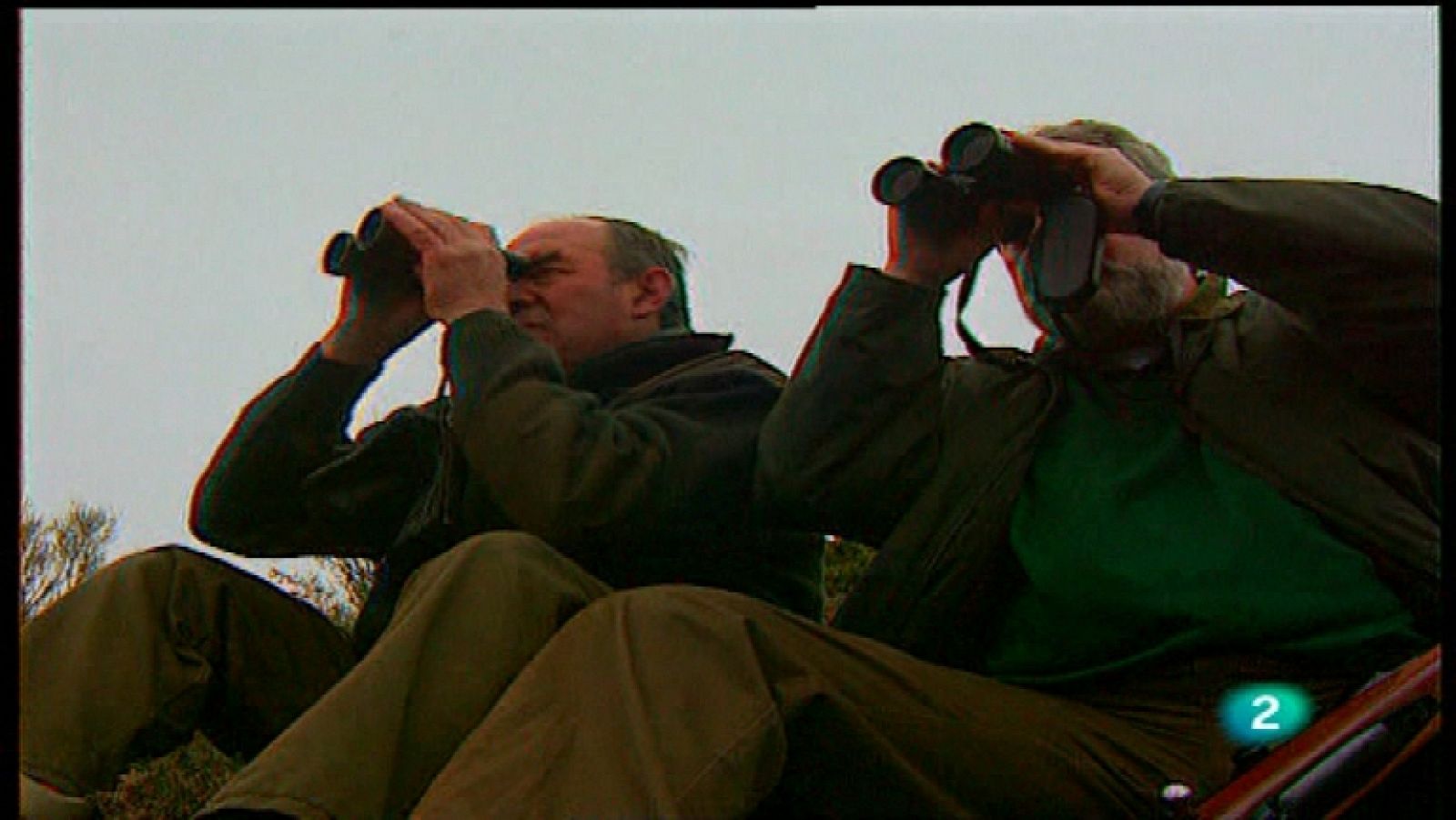 Jara y sedal - Mirando desde las nubes, 20 años - Ver ahora