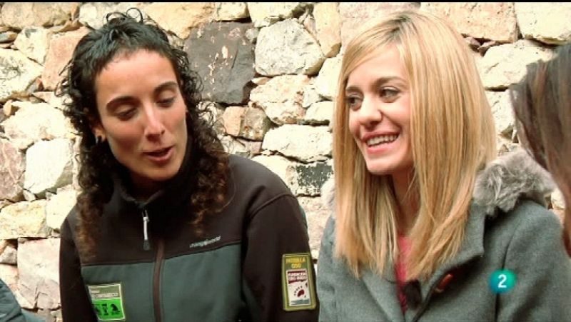  En movimiento con - Alexandra Jiménez  - Ver ahora